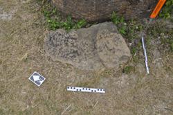 Disc 01010055 Thumbnail