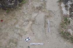 Disc 01010156 Thumbnail