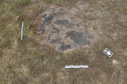 Disc 01020047 Thumbnail