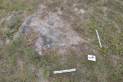 Disc 01020065 Thumbnail