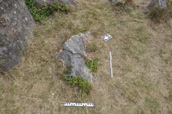 Disc 01020086 Thumbnail