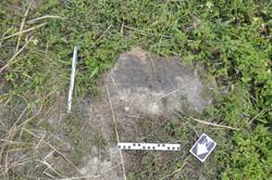 Disc 01020114 Thumbnail