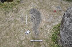 Disc 01020142 Thumbnail