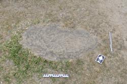 Disc 01020146 Thumbnail