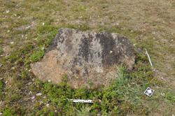 Disc 01020177 Thumbnail