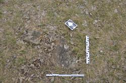 Disc 01020188 Thumbnail