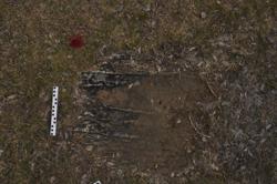 Disc 01020218 Thumbnail
