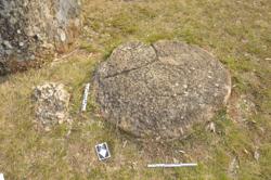 Disc 01020220 Thumbnail