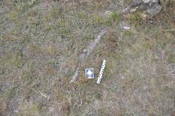 Disc 01020233 Thumbnail