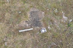 Disc 01020245 Thumbnail