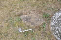 Disc 01020250 Thumbnail