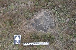 Disc 01020251 Thumbnail