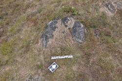 Disc 01020302 Thumbnail