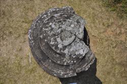 Disc 01020696 Thumbnail