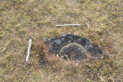 Disc 01020699 Thumbnail