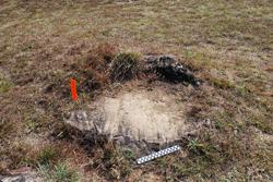 Disc 01030001 Thumbnail