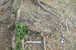 Disc 0120212 Thumbnail