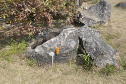 Jar 01010038 Thumbnail