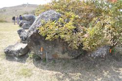 Jar 01010040 Thumbnail