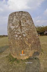 Jar 01010051 Thumbnail