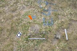 Jar 01010059 Thumbnail