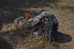 Jar 01020005 Thumbnail