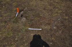 Jar 01020012 Thumbnail