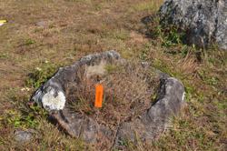 Jar 01020048 Thumbnail