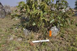 Jar 01020051 Thumbnail