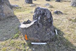 Jar 01020054 Thumbnail