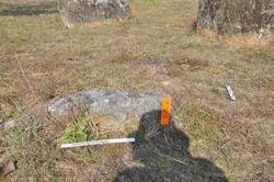 Jar 01020055 Thumbnail