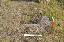 Jar 01020056 Thumbnail