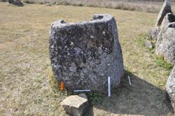Jar 01020090 Thumbnail