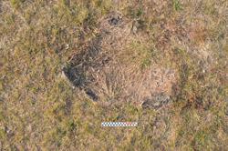 Jar 01020112 Thumbnail
