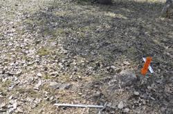 Jar 01020215 Thumbnail