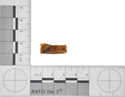 Artefact Catalogue 010b Thumbnail