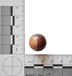 Artefact Catalogue 021 Thumbnail