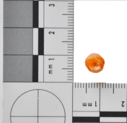 Artefact Catalogue 050 Thumbnail