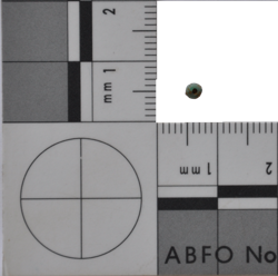 Artefact Catalogue 100 Thumbnail