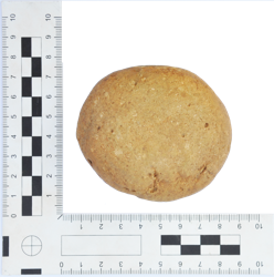 Artefact Catalogue 113 Thumbnail
