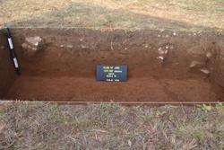 Baulk Side W Thumbnail
