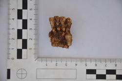 Burial 7 Thumbnail