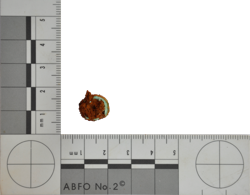 Artefact Catalogue 333b Thumbnail