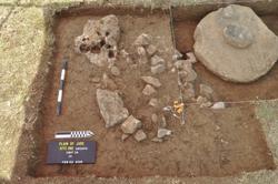 Unit 3A Thumbnail