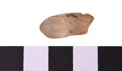 Artefact Catalogue 404 Thumbnail