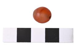 Artefact Catalogue 427 Thumbnail