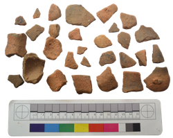 Artefact Catalogue 442 Thumbnail