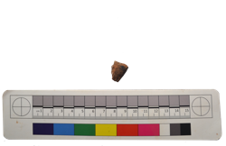 Artefact Catalogue 463 Thumbnail
