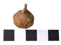Artefact Catalogue 467 Thumbnail