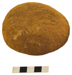 Artefact Catalogue 471 Thumbnail